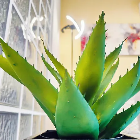 Daire Costamare Boutiqueapart-where Luxury Meets Comfort