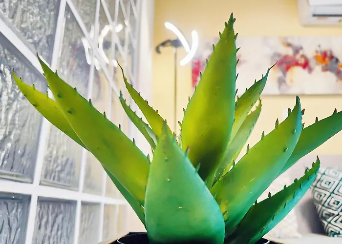 Daire Costamare Boutiqueapart-where Luxury Meets Comfort